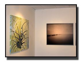 Achnatherum hymenoides Installation View